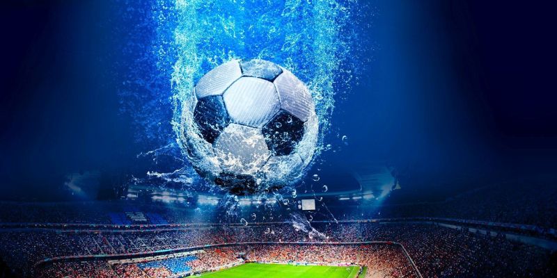 Cá cược đặc biệt mảnh đất màu mỡ với tiềm năng sinh lời cao