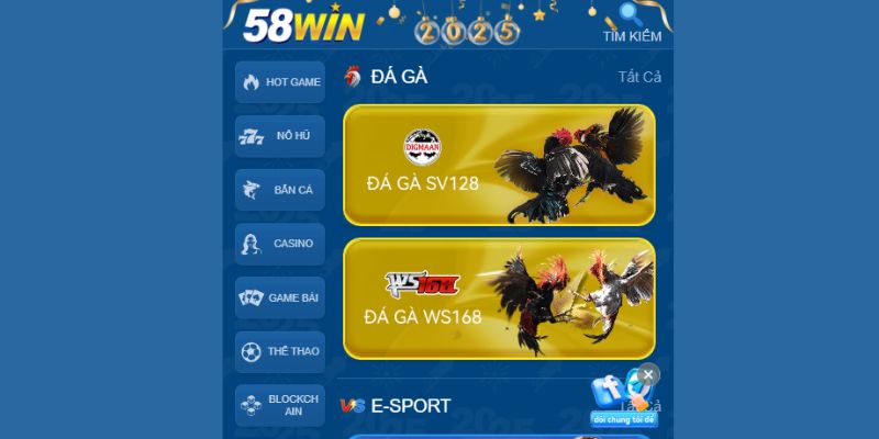 Tổng quan sảnh Đá Gà 58WIN