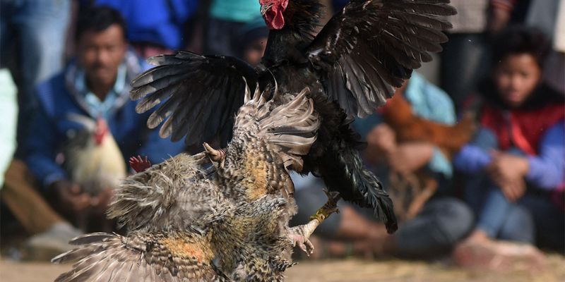 Chiến thuật trong trận đấu truyền thống